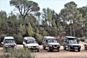 land rover party