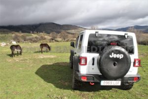 prueba jeep wrangler rubicon