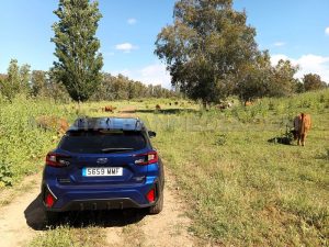 prueba subaru crosstreck