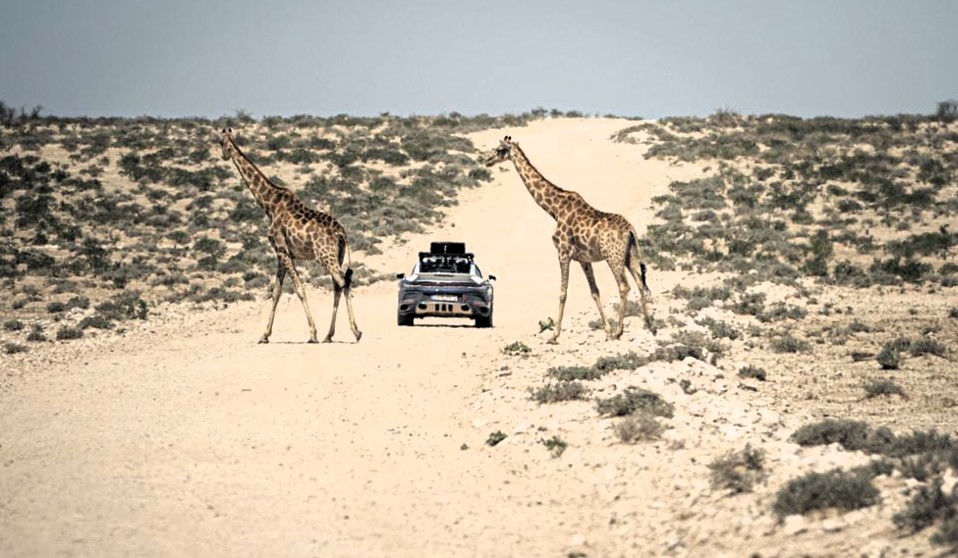 Rutas 4×4. La Travel Experience de Porsche en Namibia, lista.