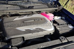 prueba maxus t60